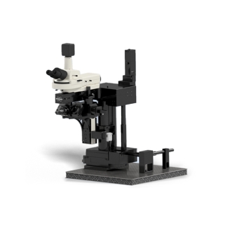 布魯克Bruker Ultima IntraVital 活體多光子顯微鏡