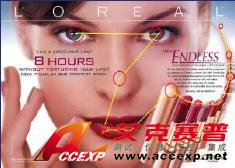 RED500 遙測眼動追蹤系統