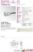 KYOWA BPR-A-S 小型間隙水壓計(jì)